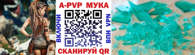 Альфа ПВП СК КРИС  Шебекино 