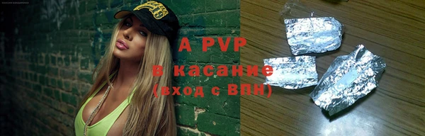 ГАЛЛЮЦИНОГЕННЫЕ ГРИБЫ Белокуриха