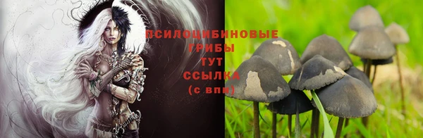 марки lsd Белоозёрский