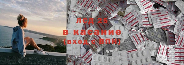 ГАЛЛЮЦИНОГЕННЫЕ ГРИБЫ Белокуриха
