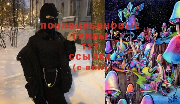 марки lsd Беломорск