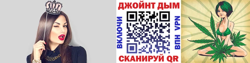 Канабис гибрид  Шебекино 
